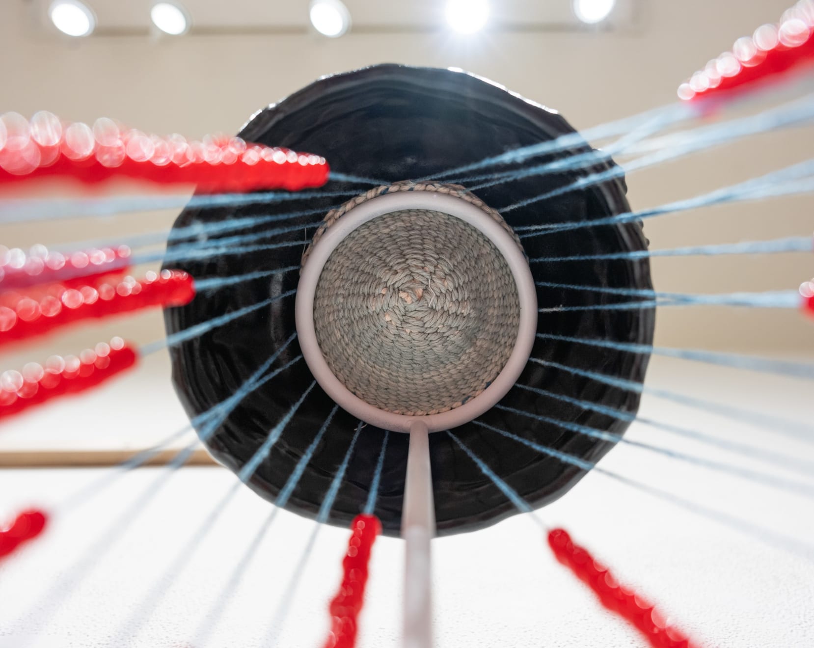 Sara Siestreem (Hanis Coos), 3/15/2020 minion, 2024