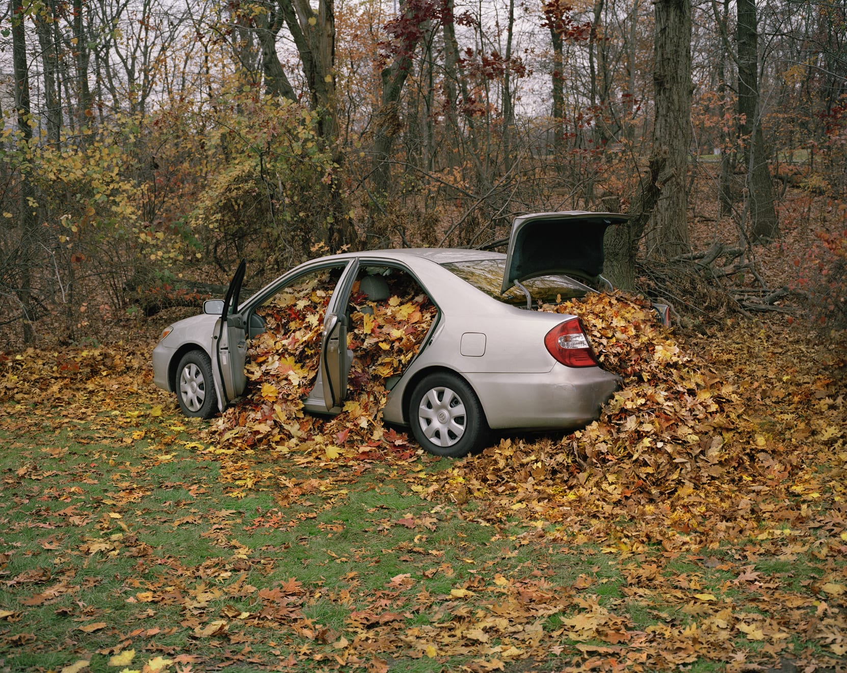 Neil Goldberg, My Father's Camry Filled with Leaves, 2009