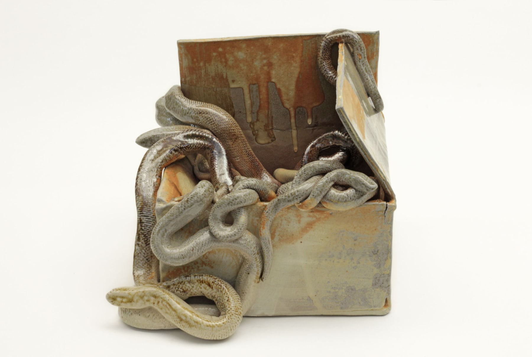 Malia Jensen, Box of Snakes (salt), 2018
