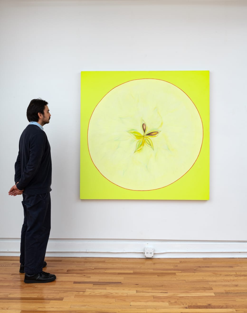 Audra Skuodas, Untitled, c. 2010