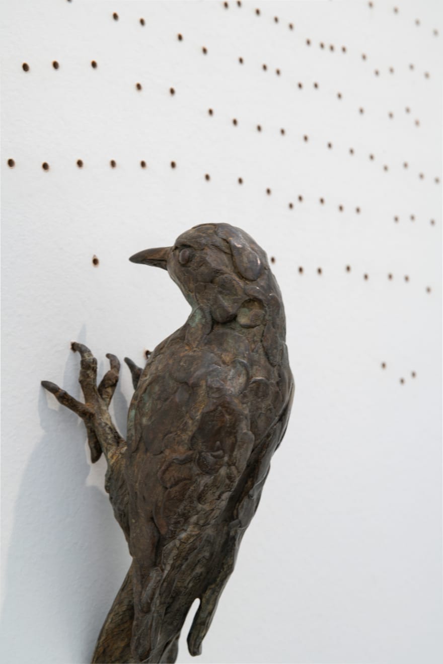 Malia Jensen, Yellow-Bellied Sapsucker, 2023