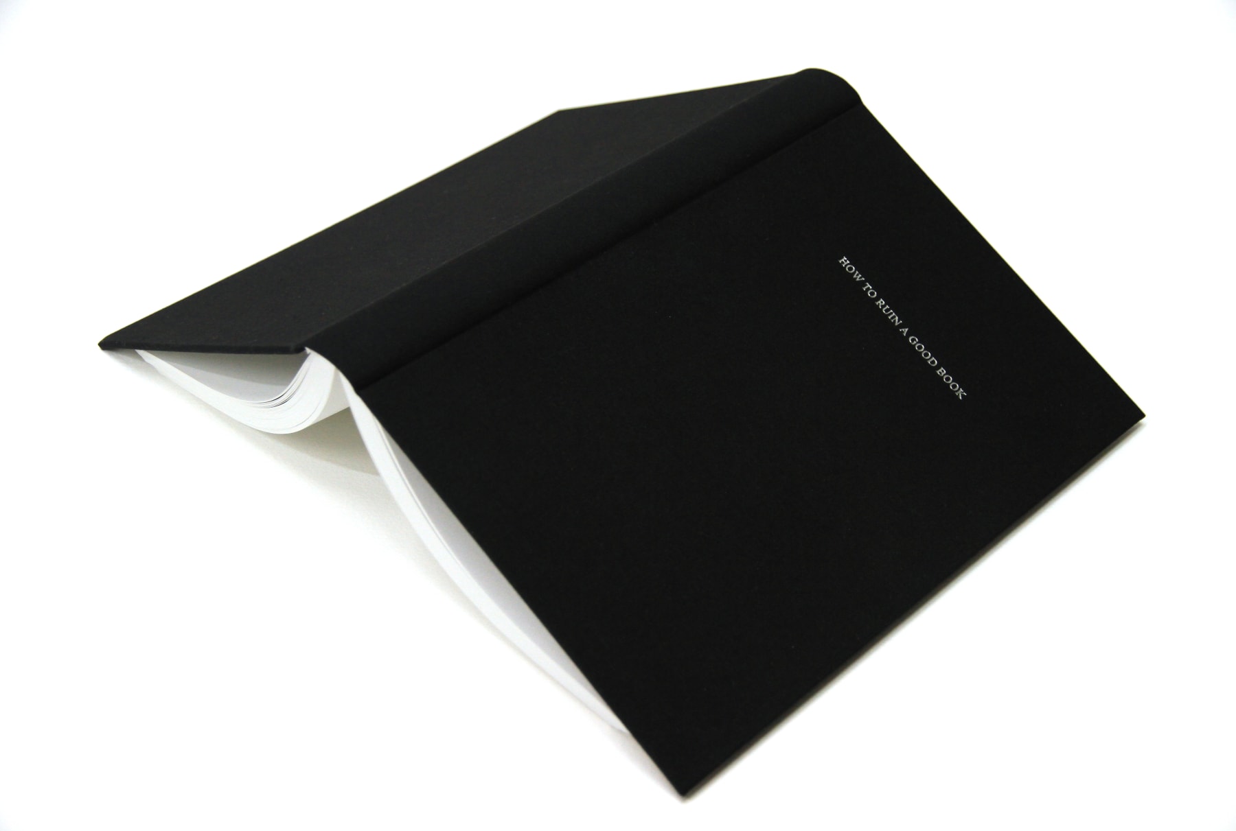 John Wood and Paul Harrison, How to Ruin a Good Book, 2017