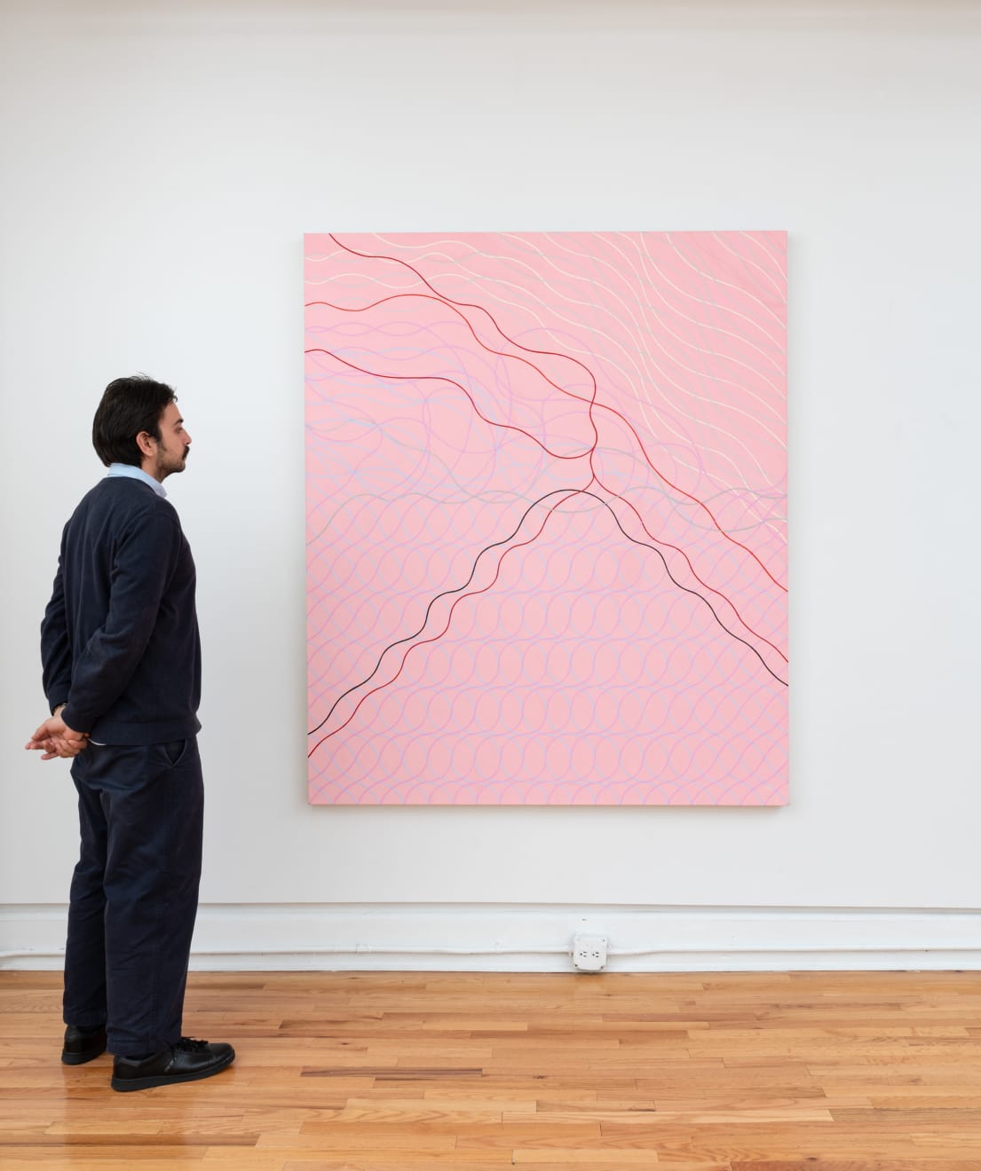 Audra Skuodas, Vibrational Vulnerability Series, 2008