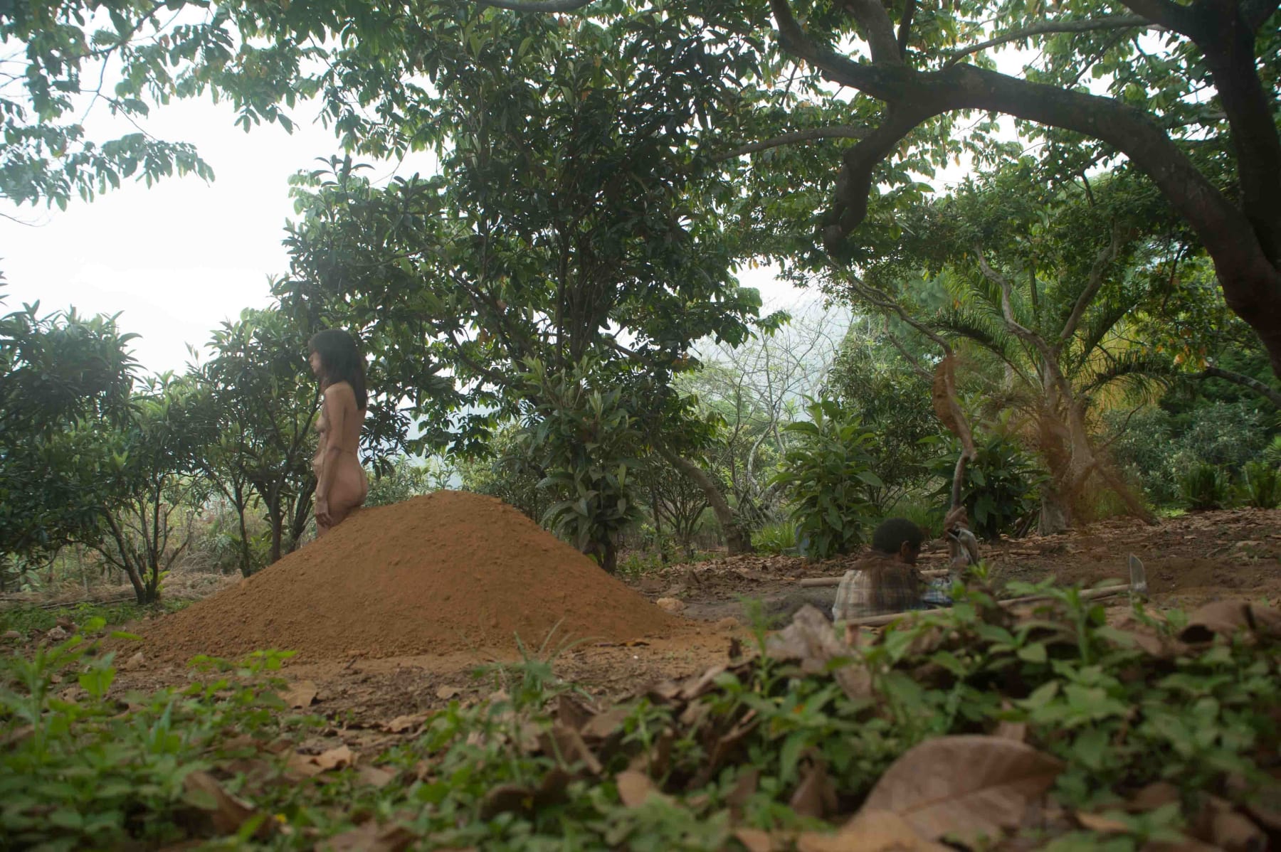 Regina José Galindo, Paisaje, 2010