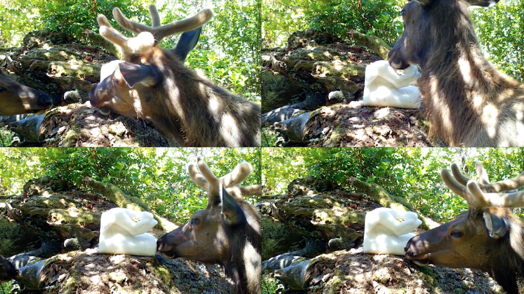 Malia Jensen, Worth Your Salt, 2020