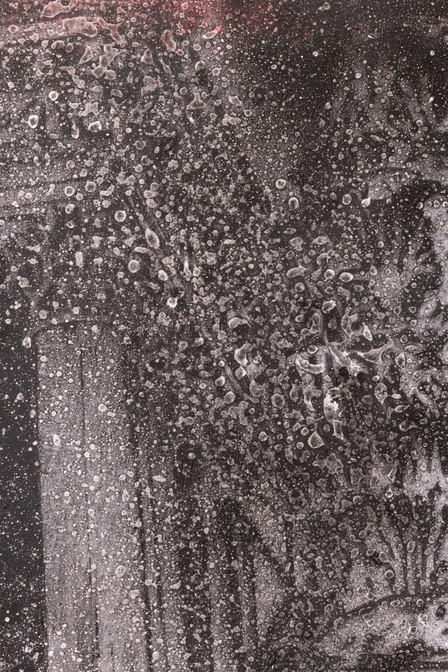 Jorge Tacla, Breaking News 2, 2022