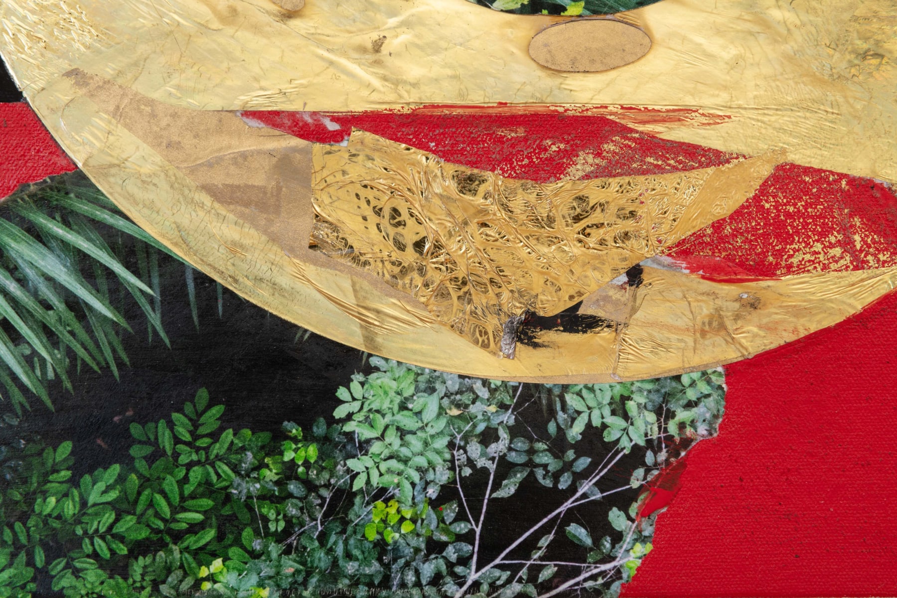 Diane Burko, Amazon 35, 2024