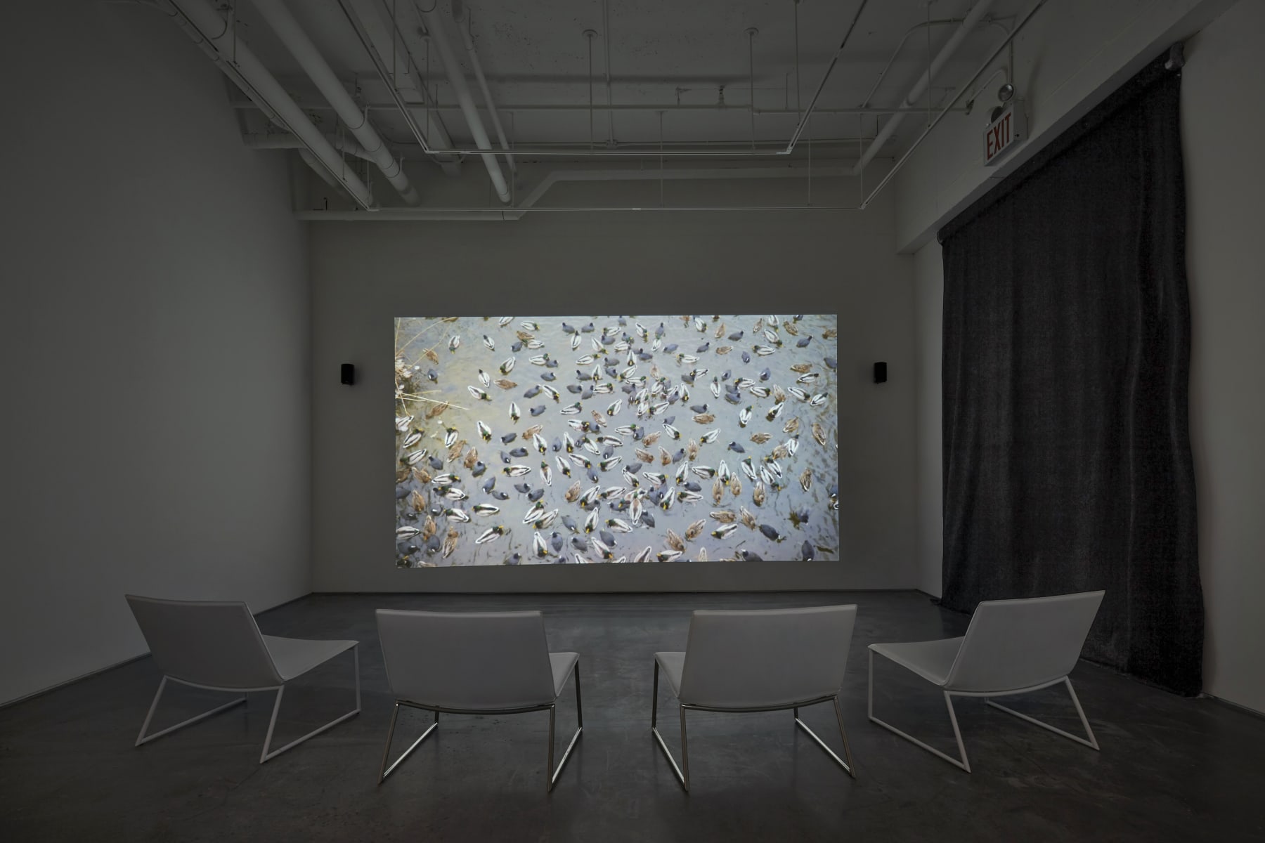 François Bucher, La nuit de l'homme, 2012