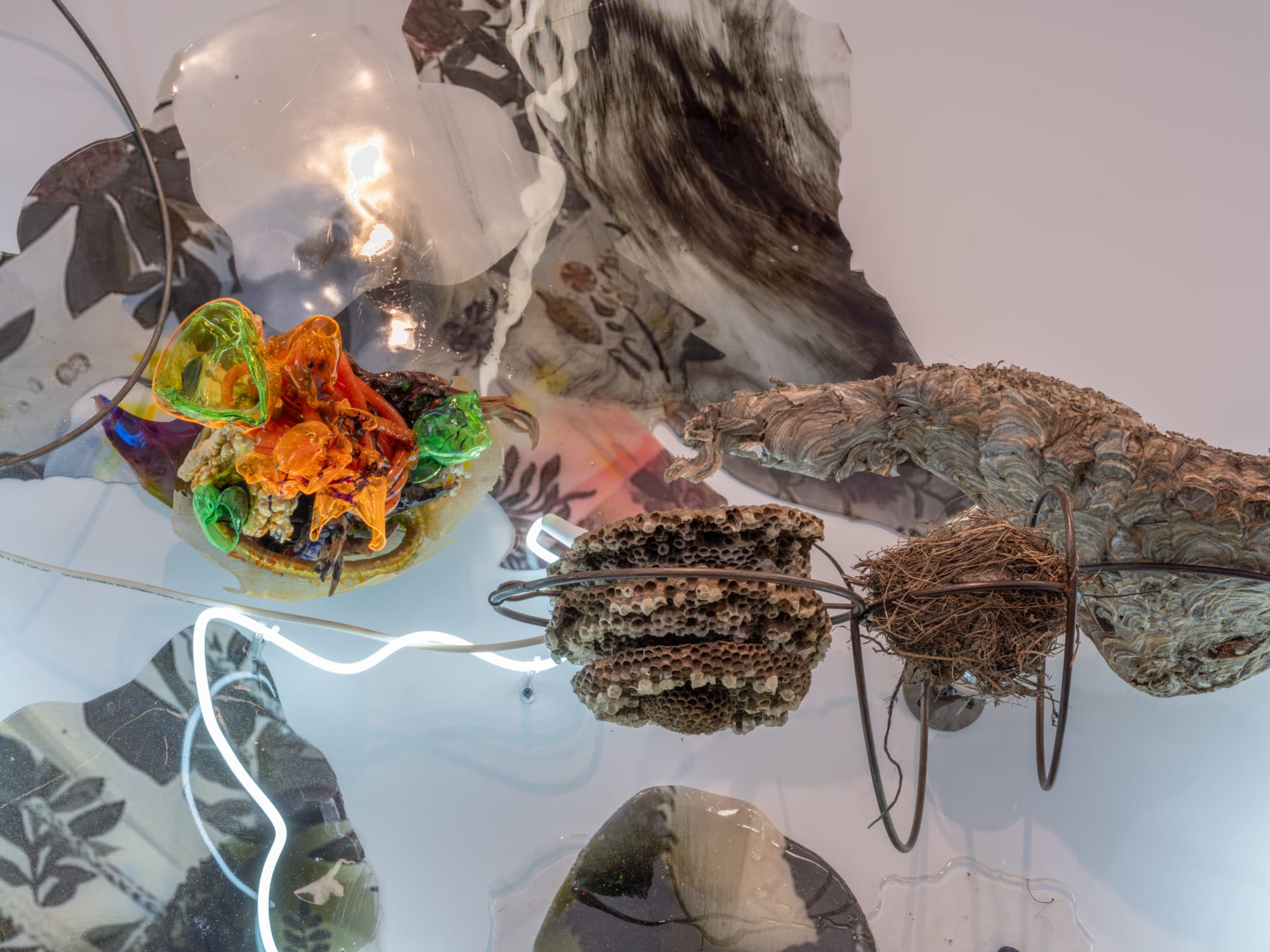 Judy Pfaff, TERRA, 2025