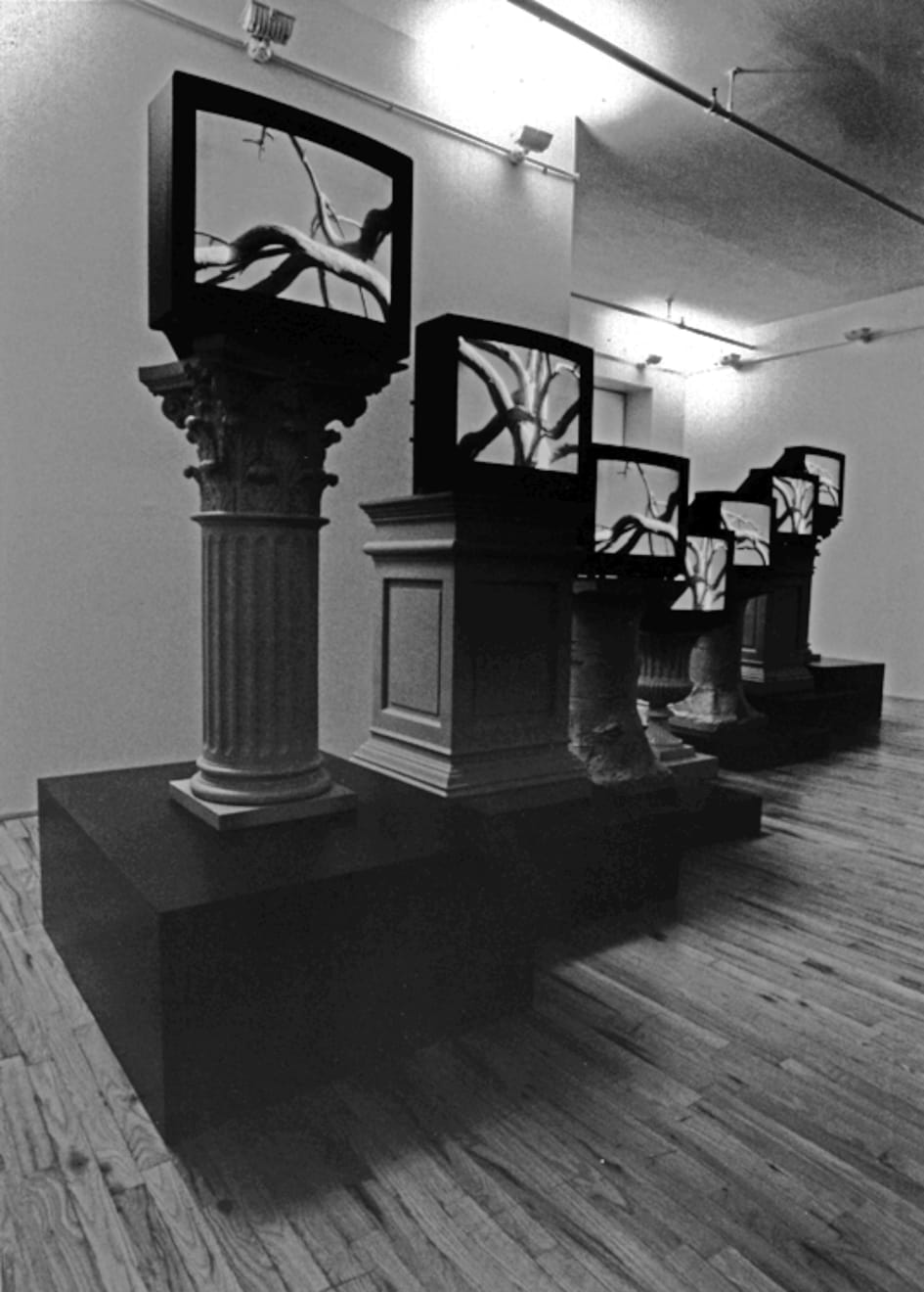 Mary Lucier, Wilderness, 1986