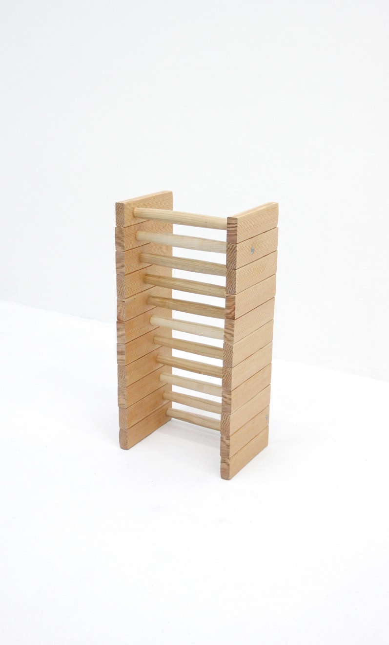 John Wood and Paul Harrison, Storage Solution (Ladder), 2018
