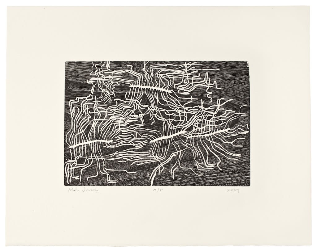 Malia Jensen, Wormcut #06, 2009