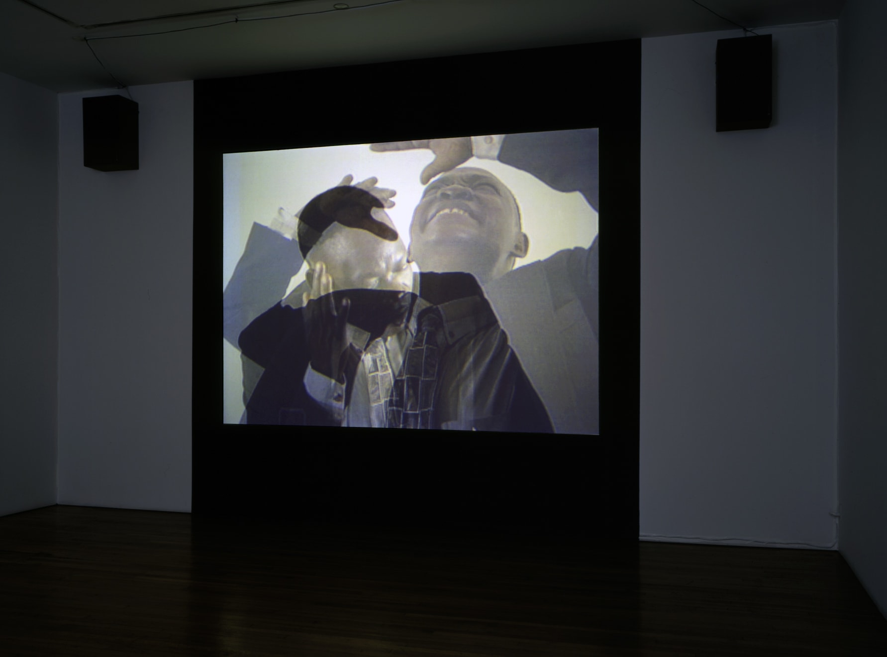 Mary Lucier, Migration 2000, 2000