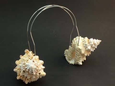 François Bucher, Cosmic Background Noise Explorer, 2017