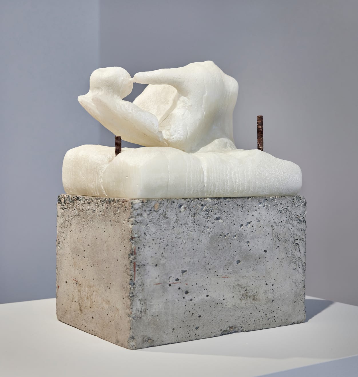 Malia Jensen, Hand (with Plum), 2020