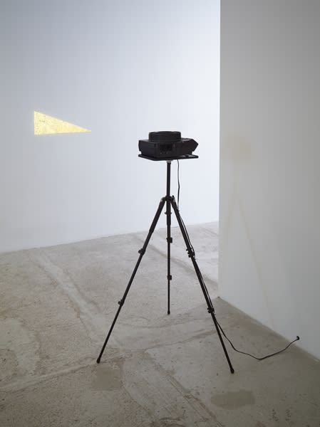 Daniel Steegmann Mangrané, ^, 2013