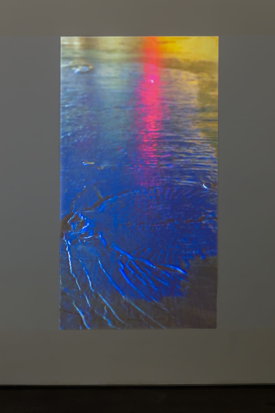 Jean Shin, Confluence, 2016