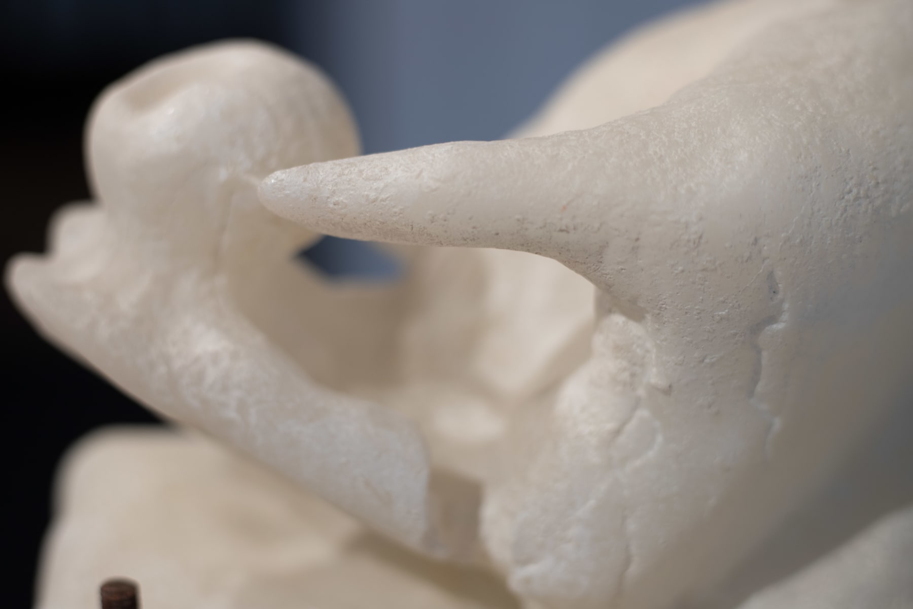 Malia Jensen, Hand (with Plum), 2020