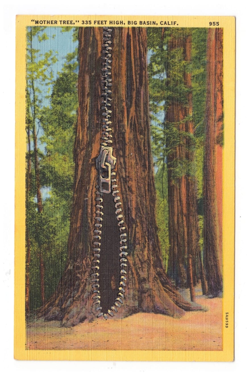 David Opdyke, Bad Idea, 2024