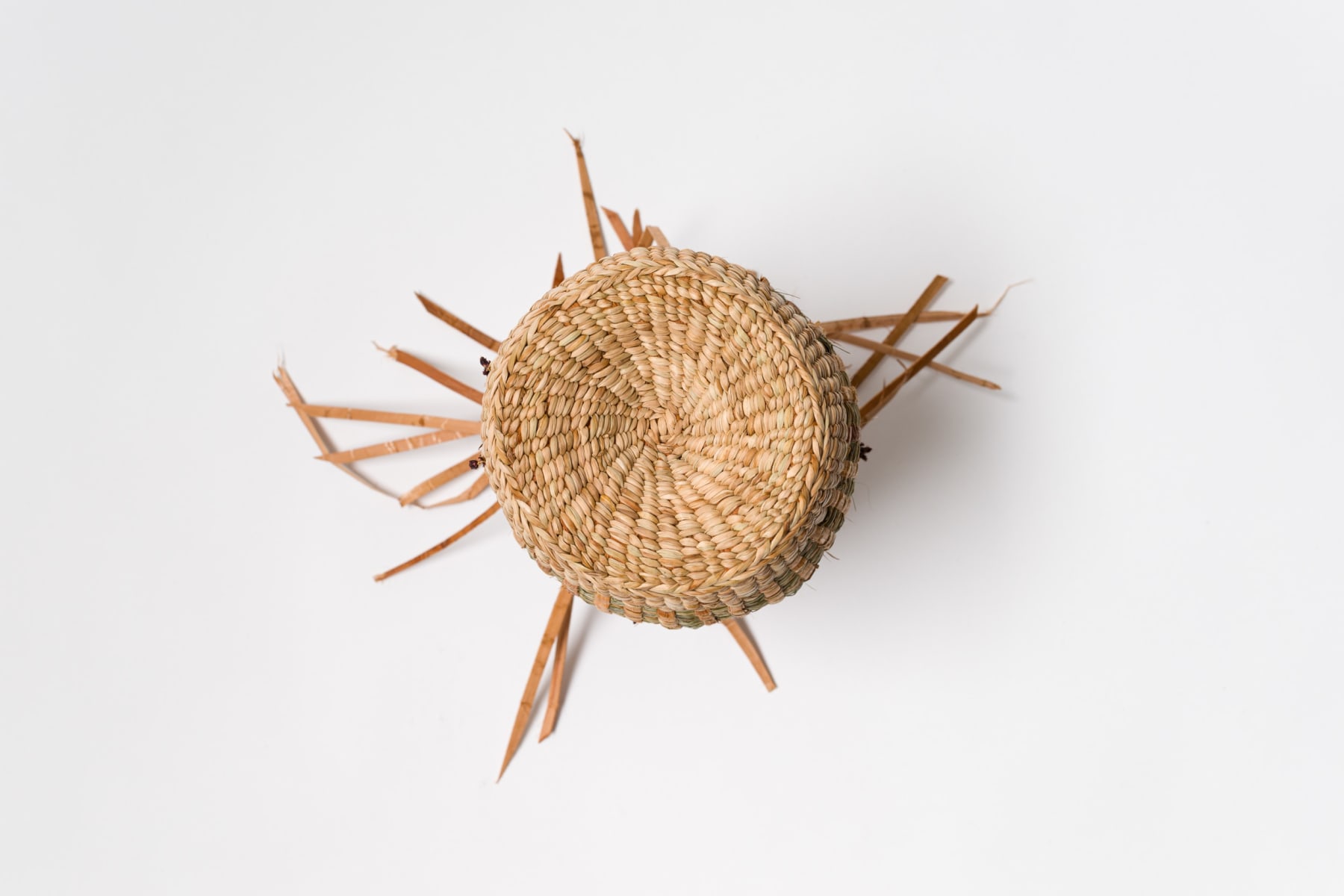 Sara Siestreem (Hanis Coos), the dj and the fire next time saved my life last night, 2024