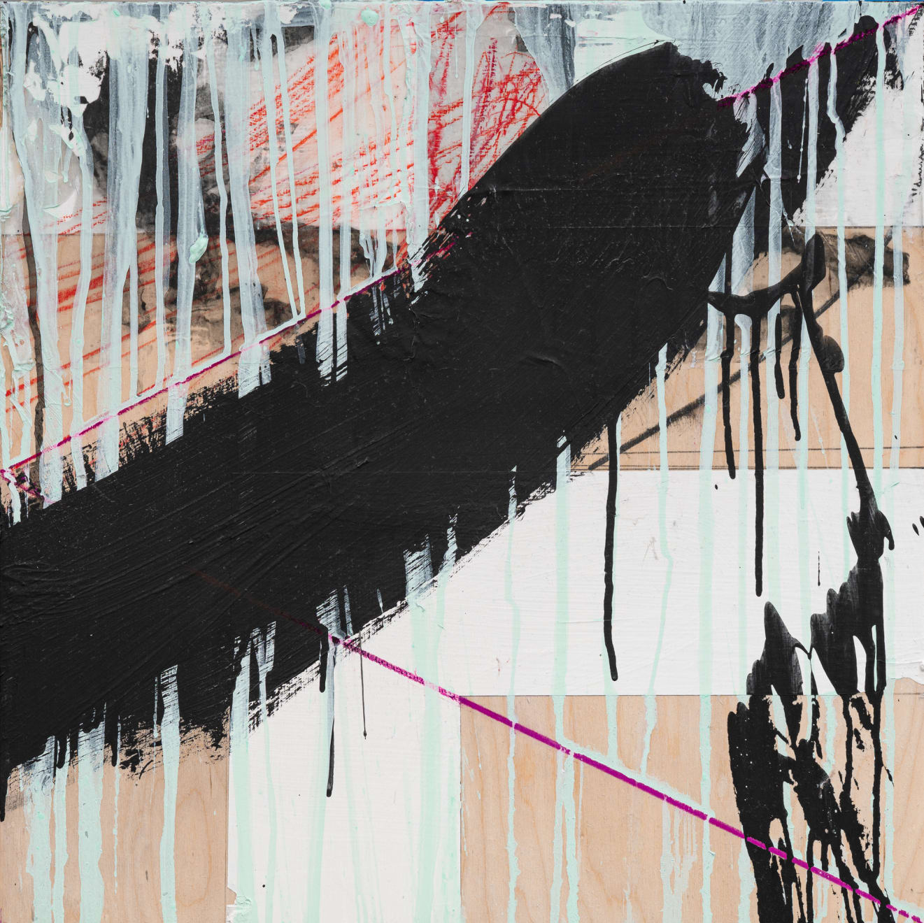 Sara Siestreem (Hanis Coos), sugar kelp, 2025