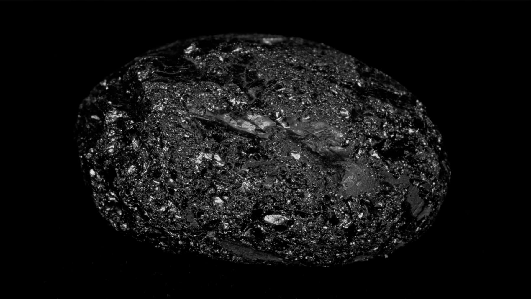 peter campus, fossil, 1987