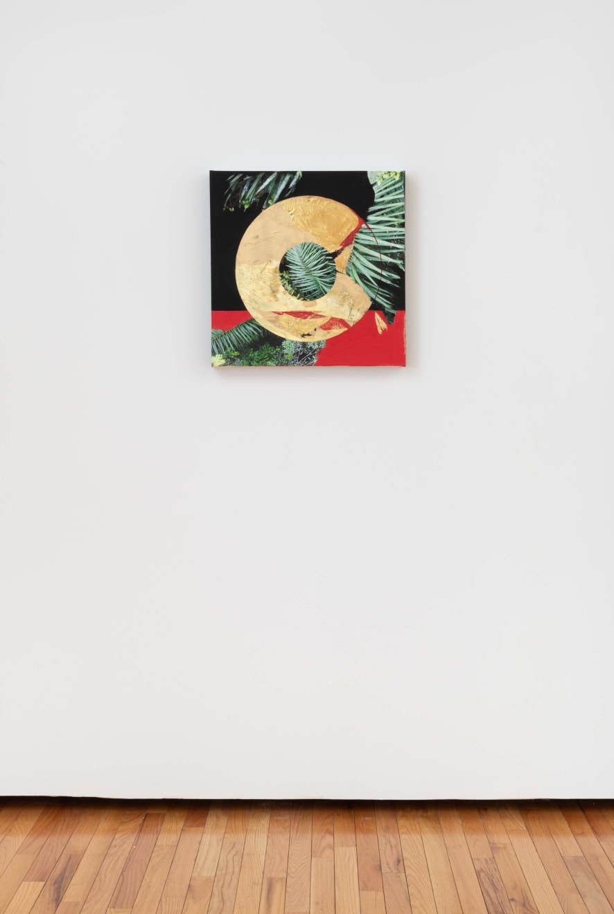 Diane Burko, Amazon 35, 2024