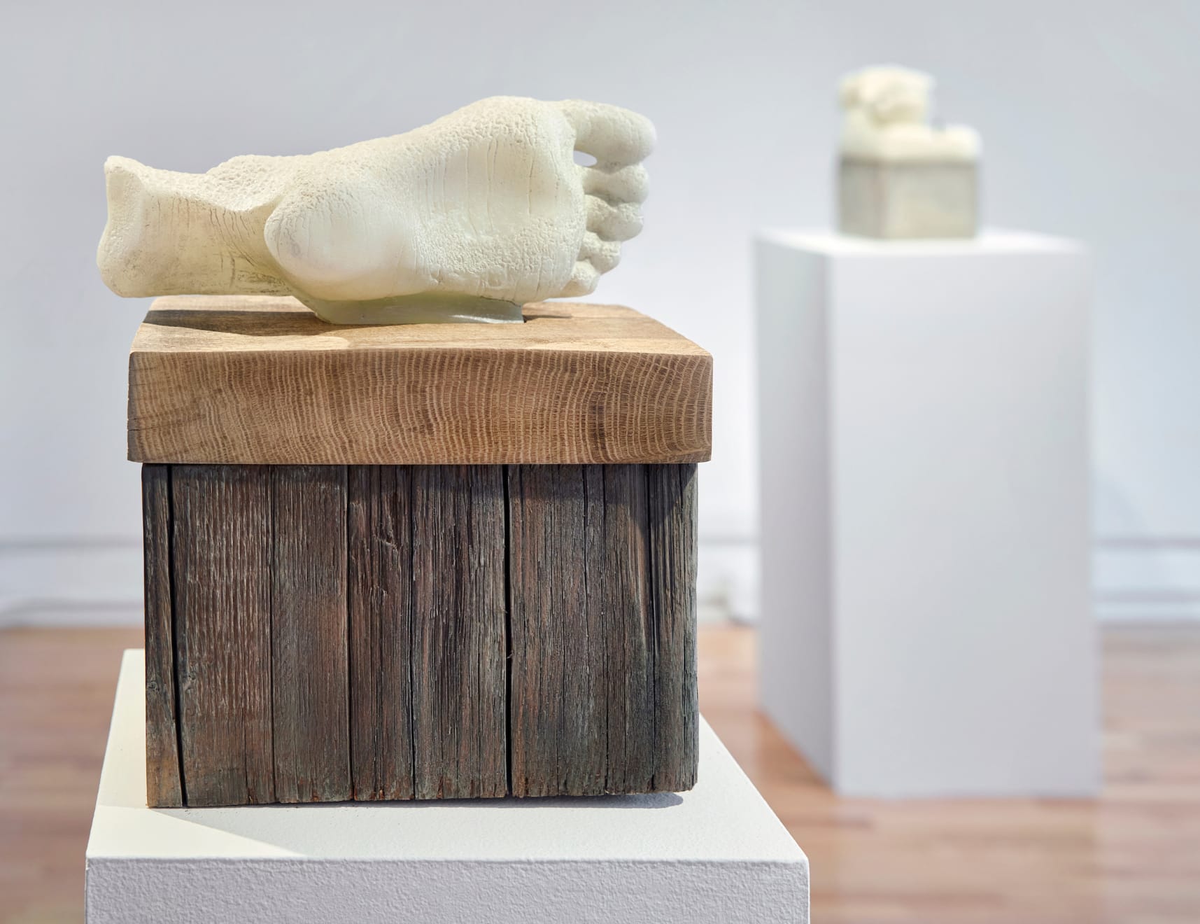 Malia Jensen, Foot, 2020