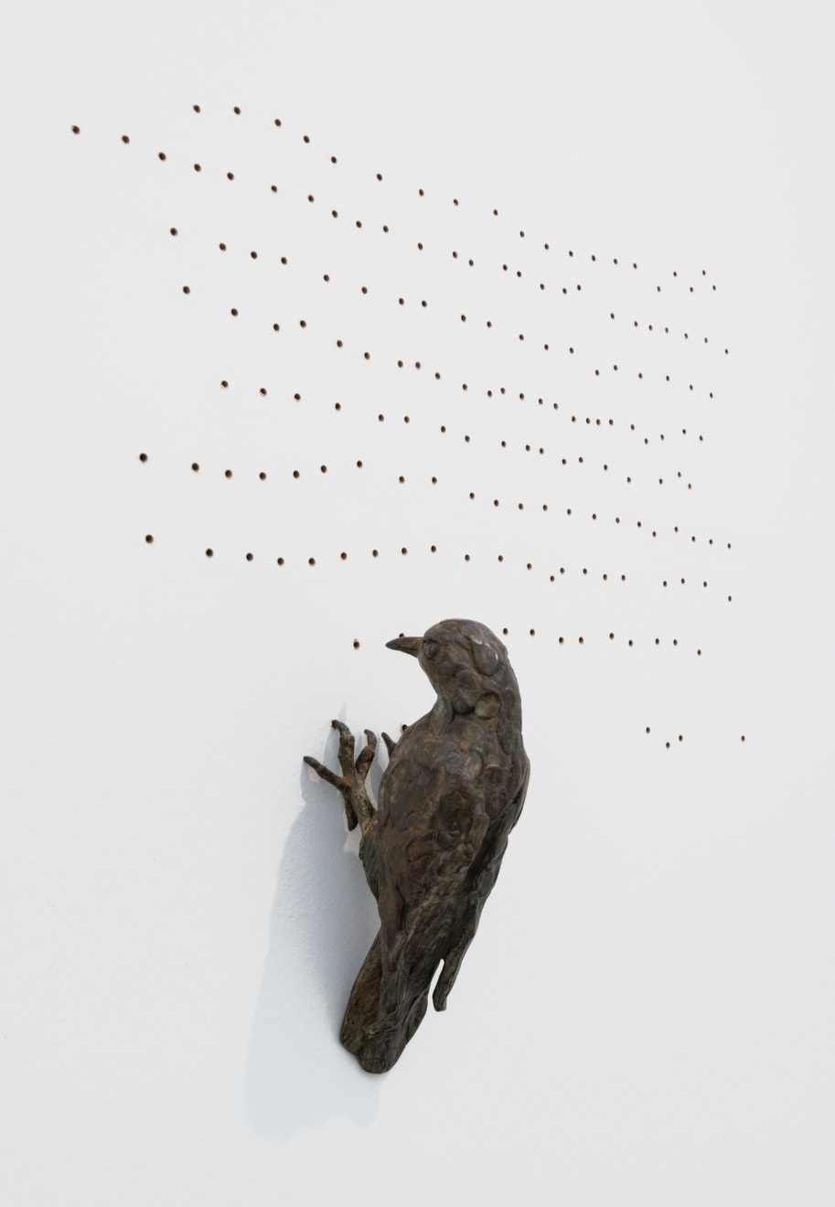 Malia Jensen, Yellow-Bellied Sapsucker, 2023