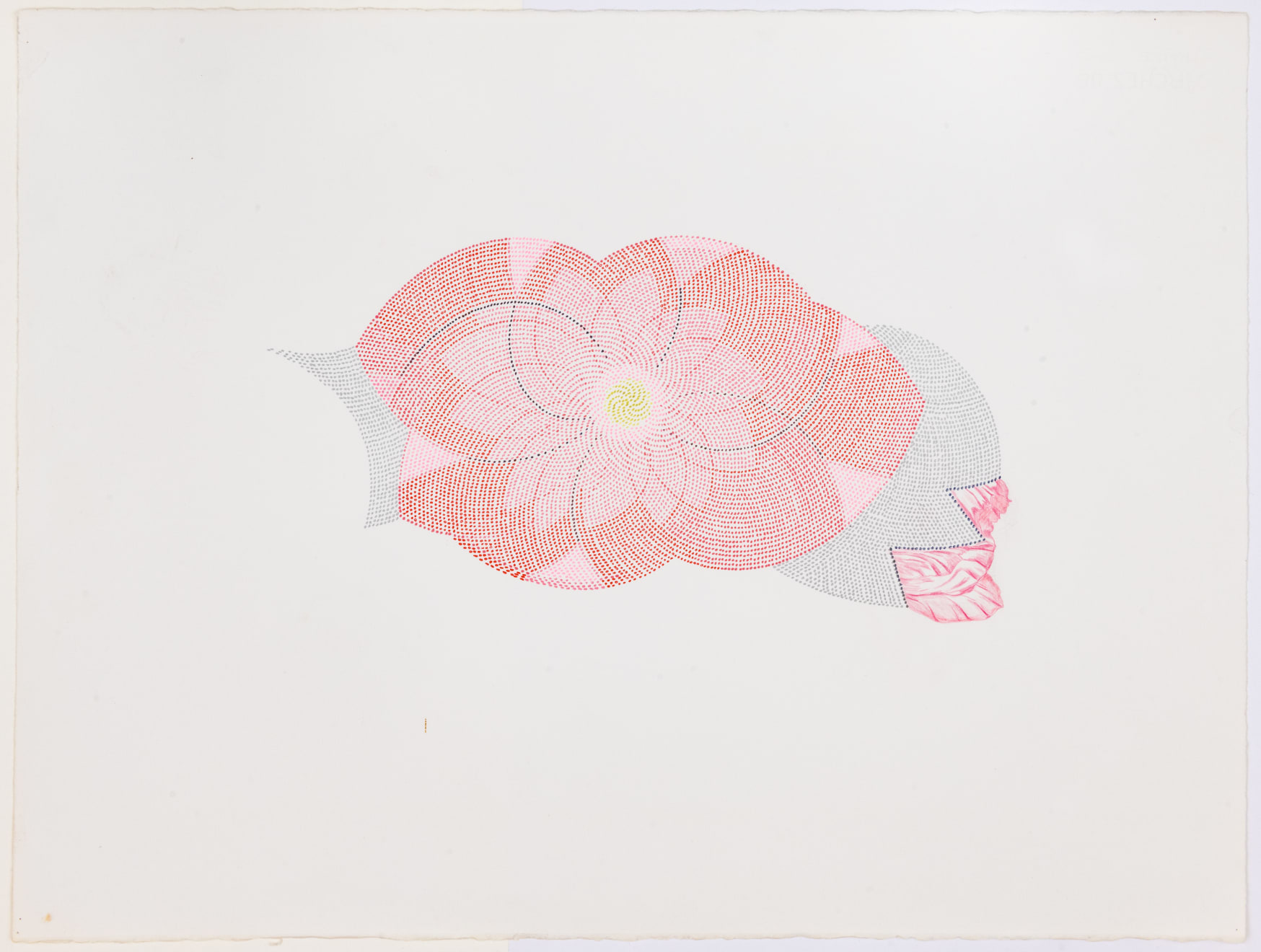 Audra Skuodas, Untitled, 2005
