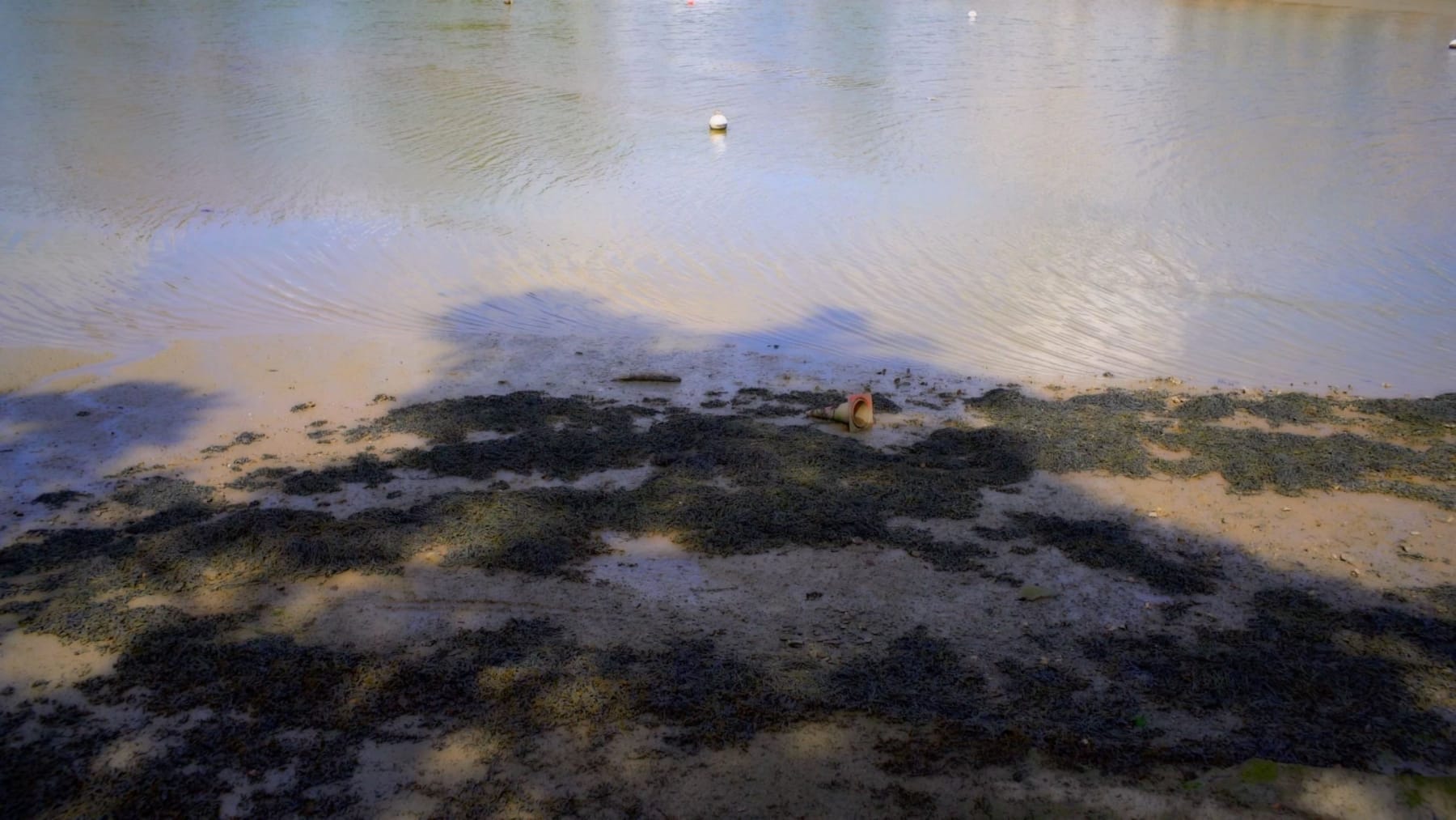 peter campus, stanchion, port de pornic, 2016