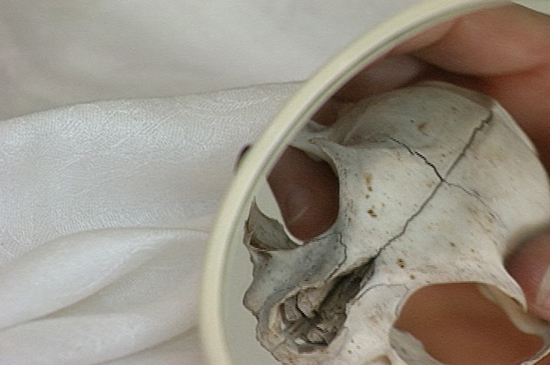 Mary Lucier, Summer, or Grief, 1998