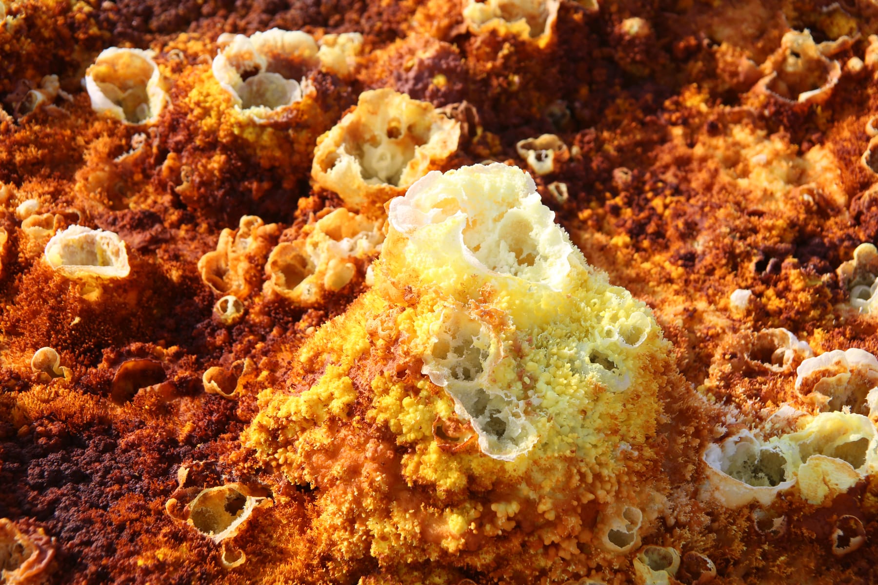 Janet Biggs, Afar [work in progress], 2016/2021