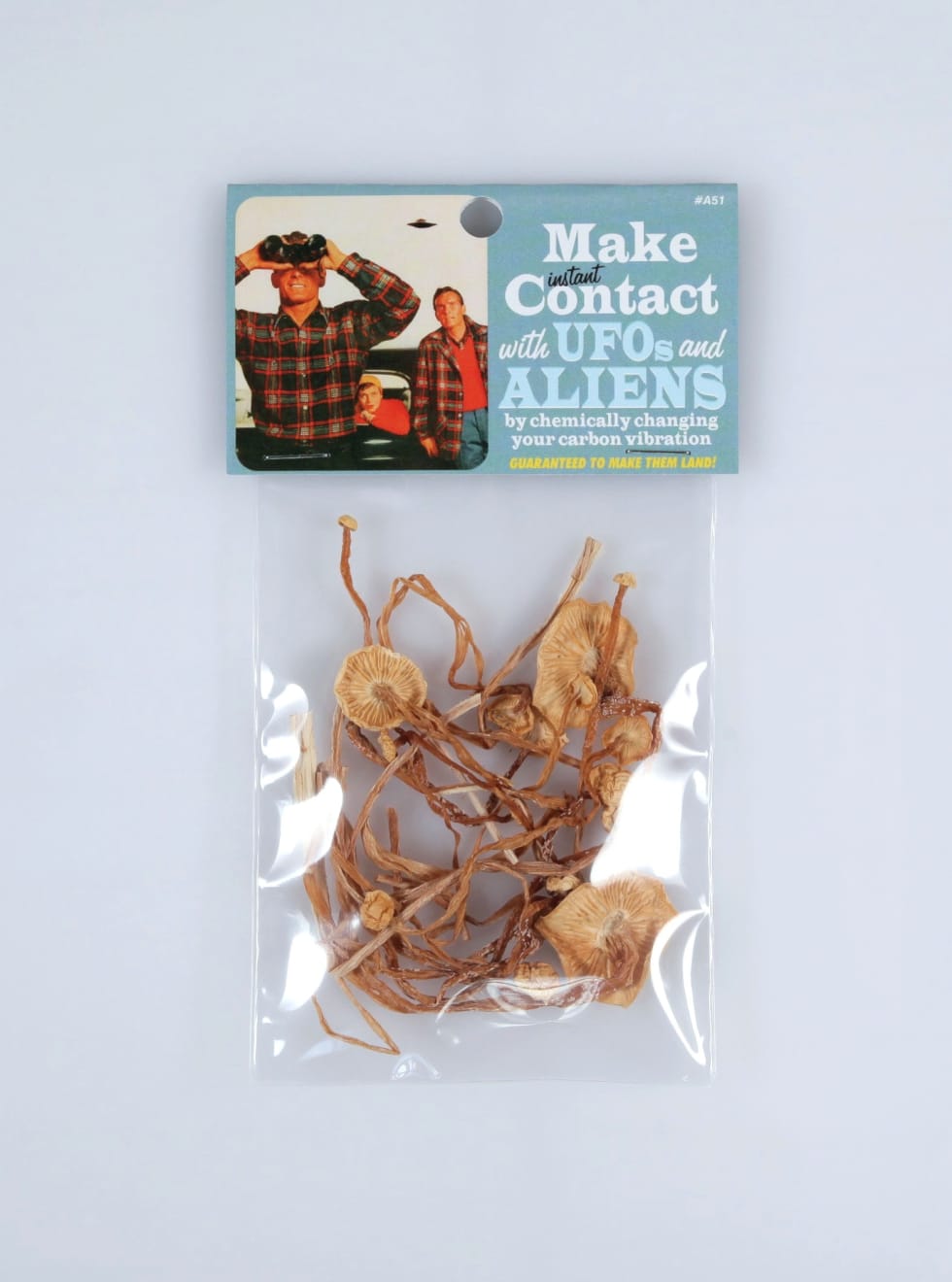 Dana Wyse, Make instant contact with UFO's and aliens, 2006