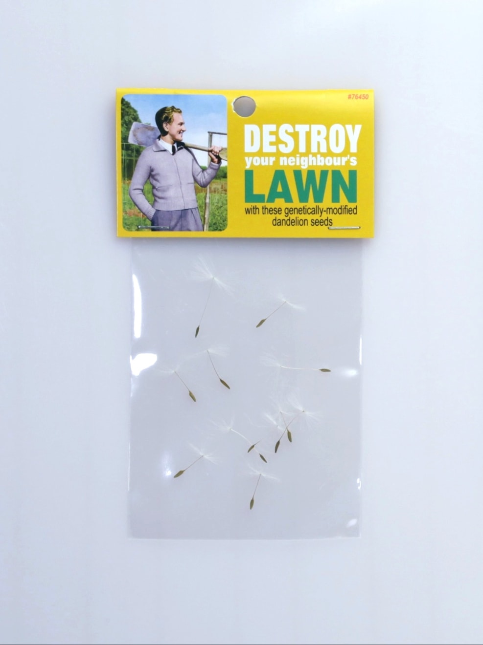 Dana Wyse, Destroy your neighbour’s lawn, 2020