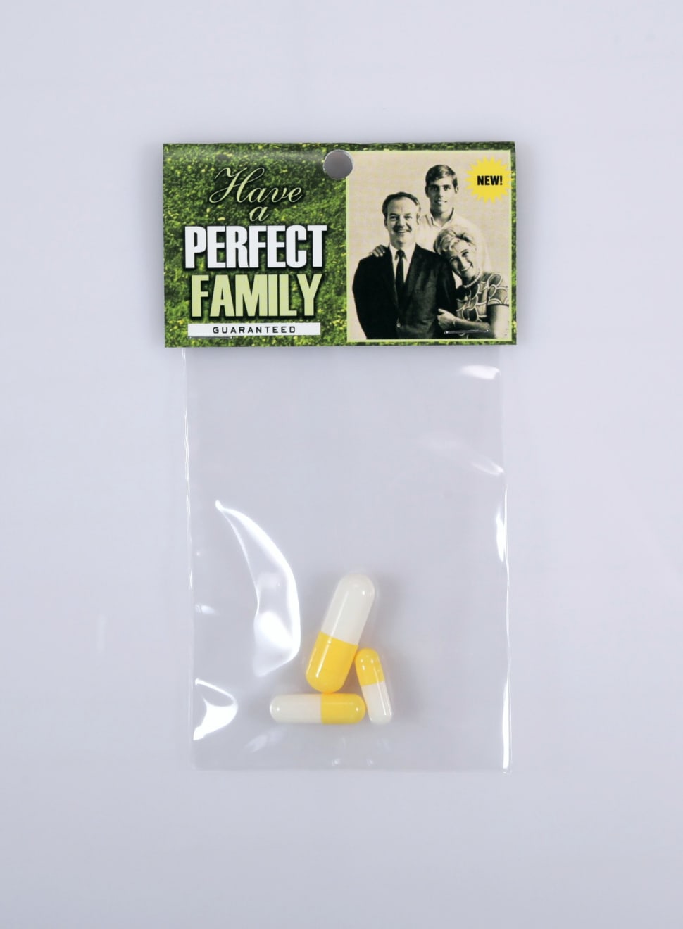 Dana Wyse, Have a perfect family, 2000