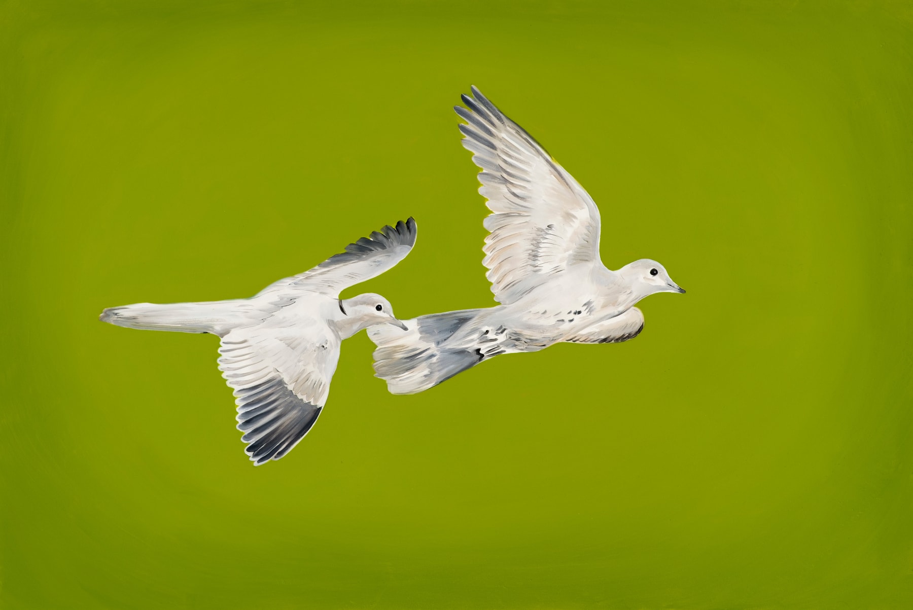 Mahsa Tehrani, “Two pigeons” from the “The hunting ground” series, 2022