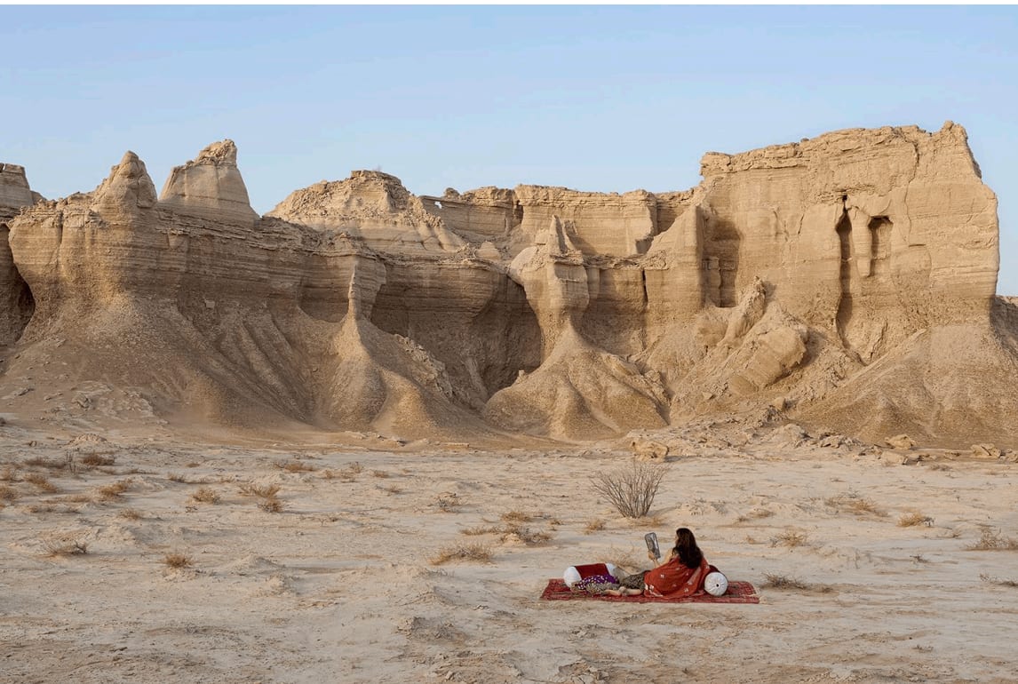 Gohar Dashti, Stateless, 2014-2015