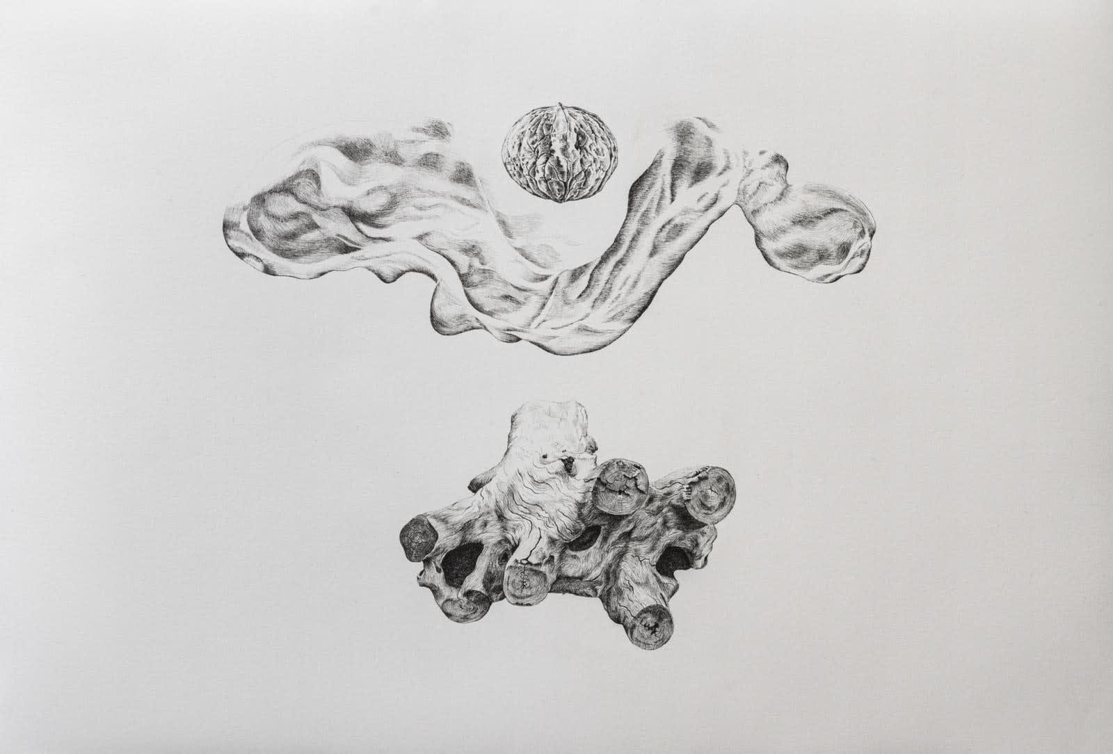 Nima Zaare Nahandi, Study for NUX, 2019