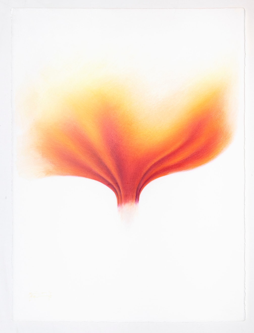 Kiarash Alimi, Red Flower, 2015