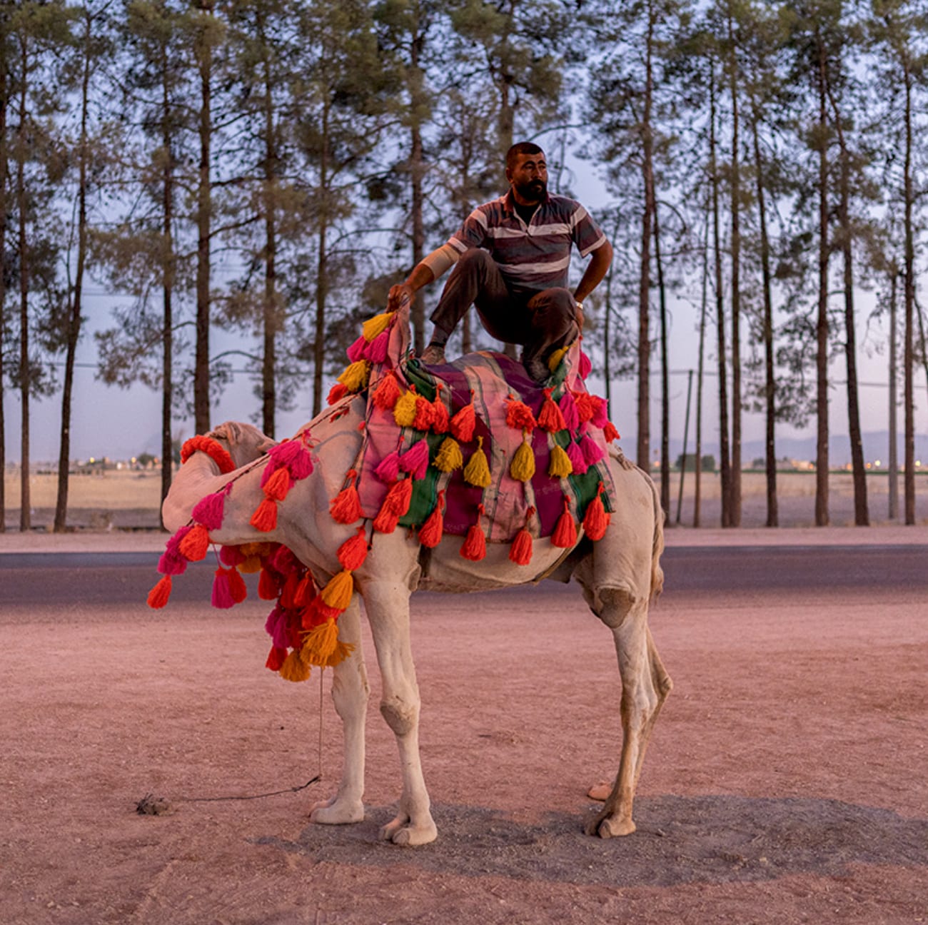 Shayan Sajadian, Sareban, 2021