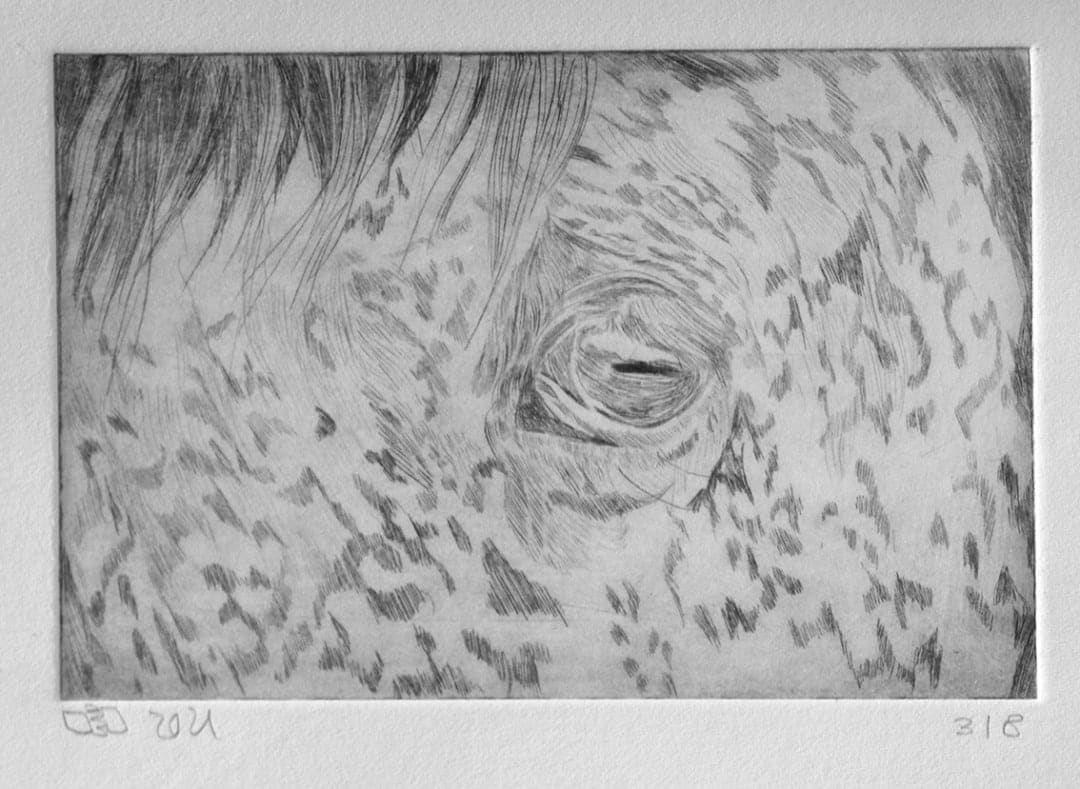 Sepideh Zamani, Untitled, 2021