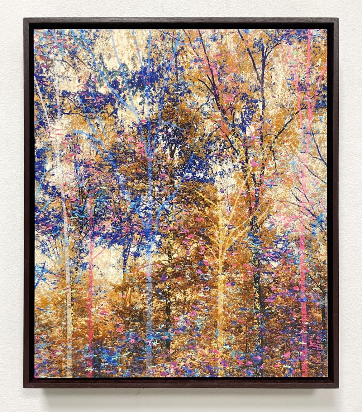 Martin Coiffier, Dreams