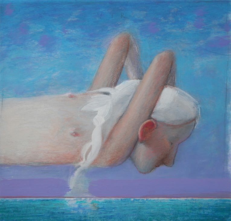 Peter van Poppel - Vliegend