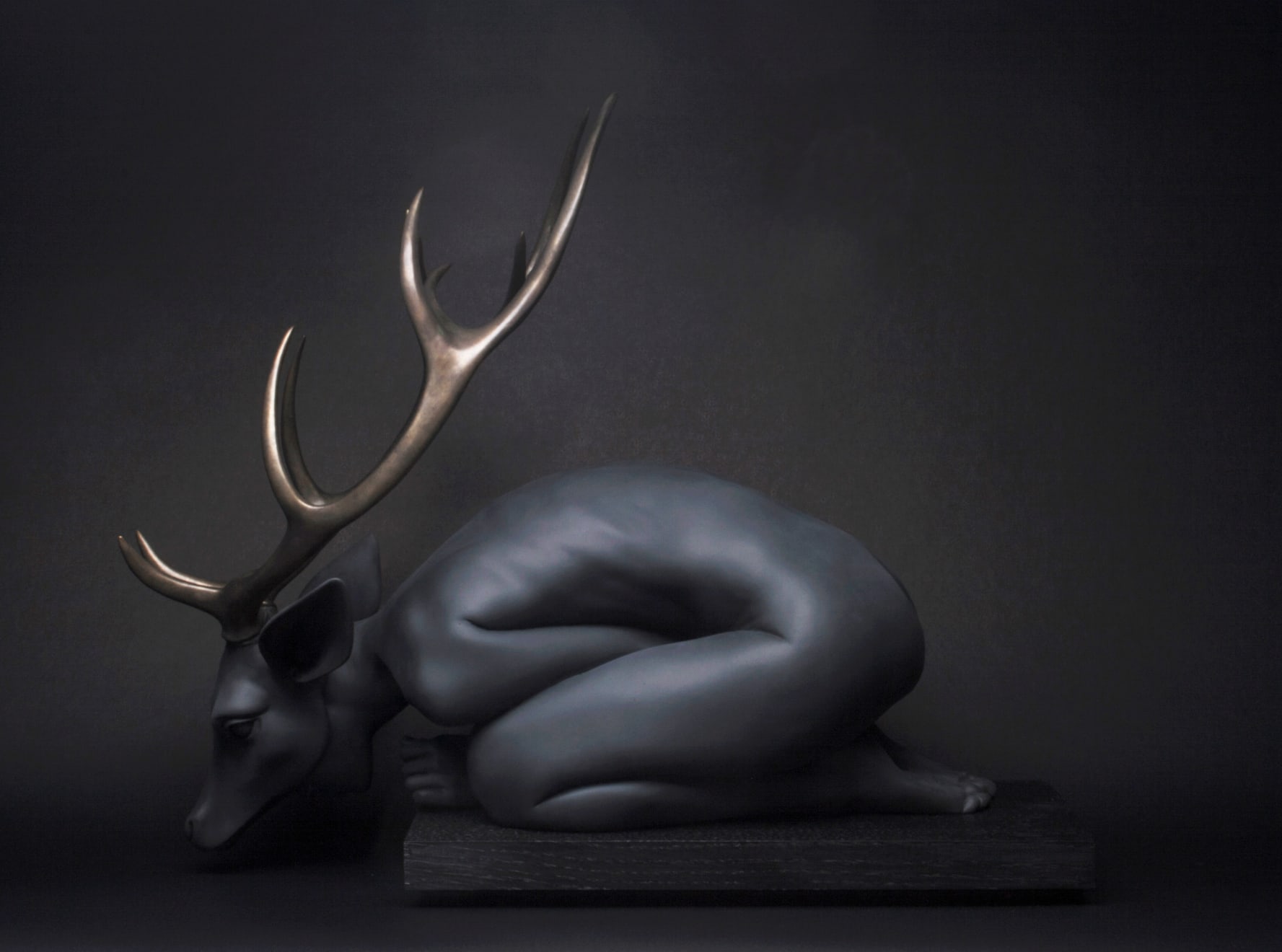 Rachel Ann Stevenson - Soul Stranded