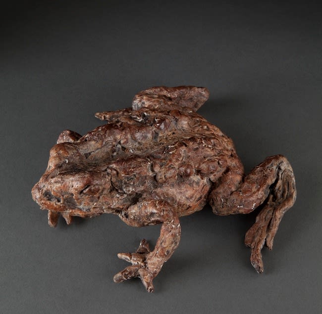Ans Zondag - Mr. Toad
