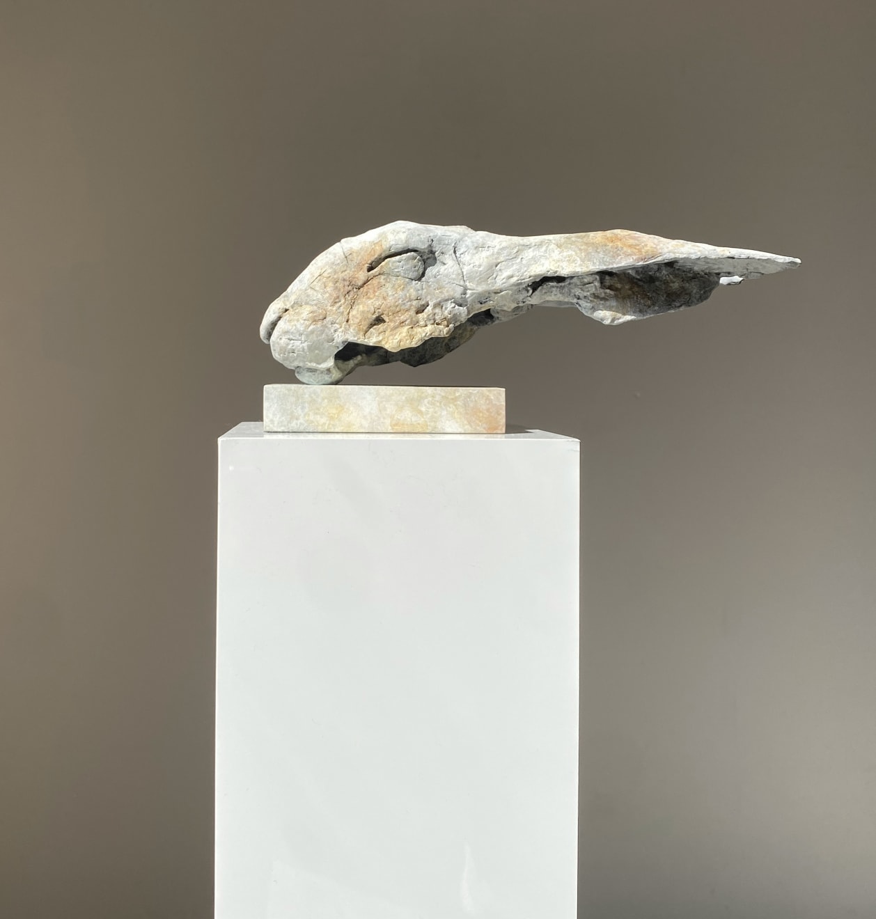 Nichola Theakston