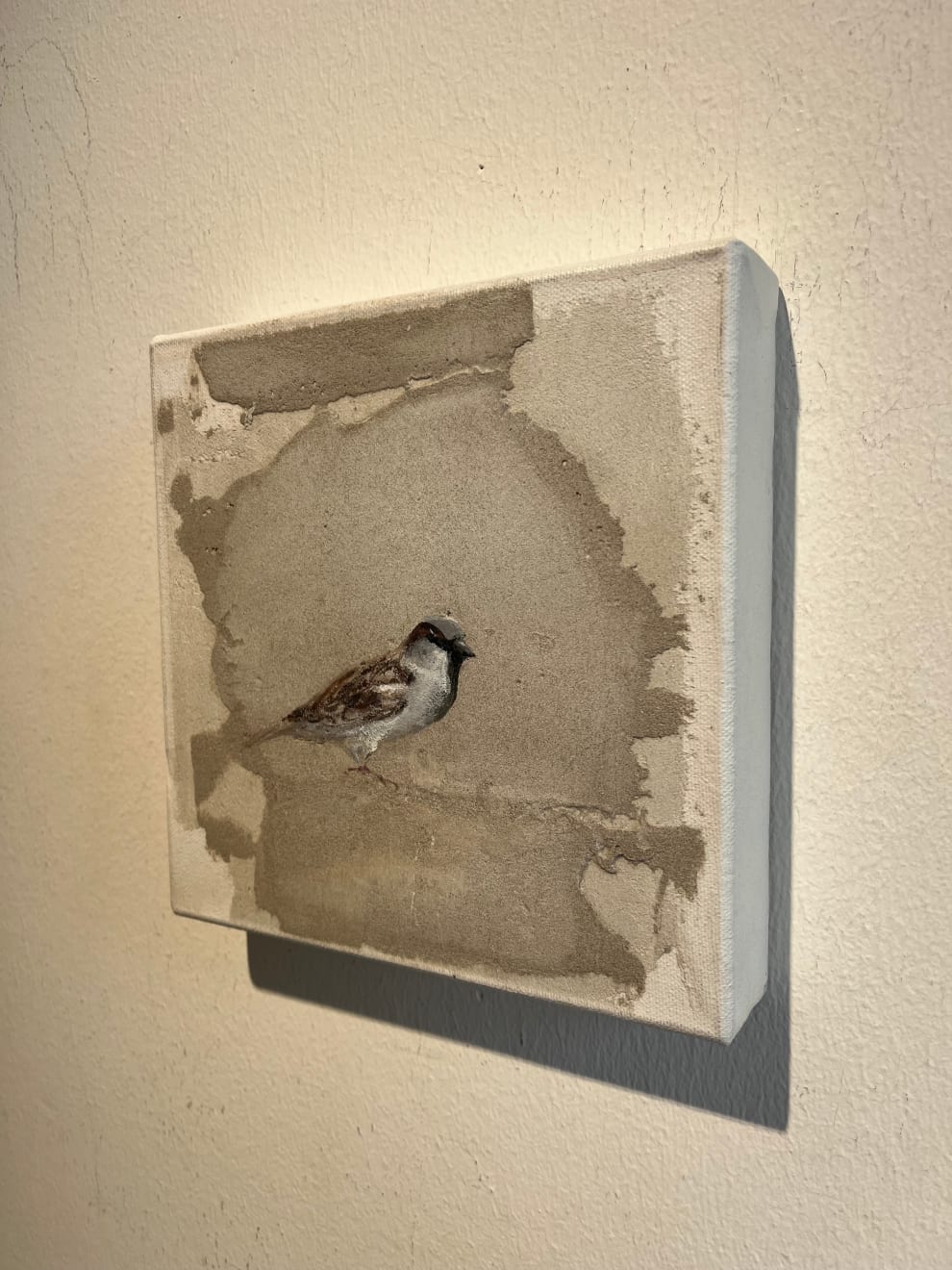 Jan Grotenbreg - Musje