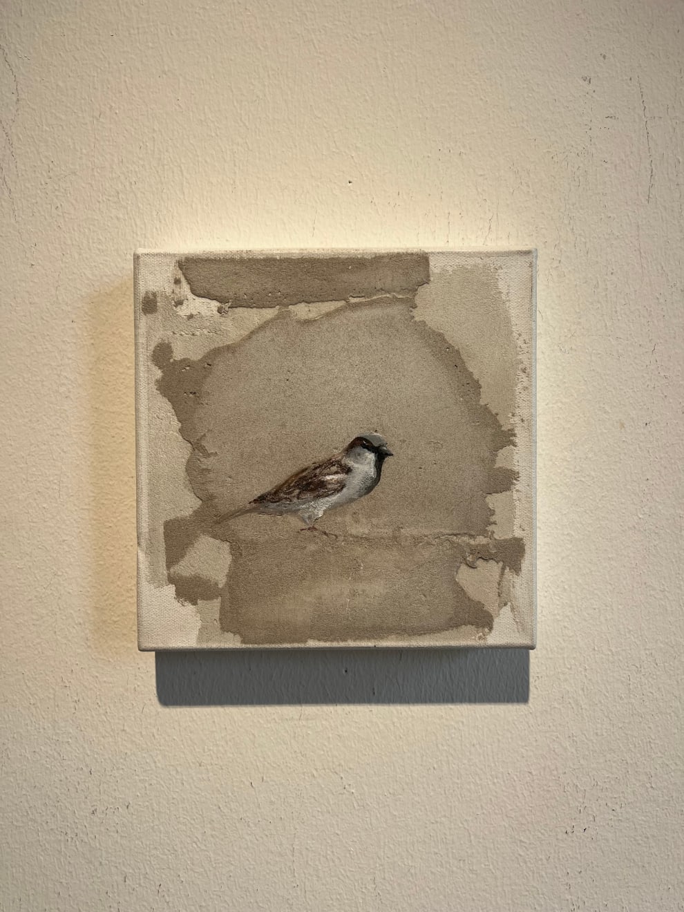 Jan Grotenbreg - Musje