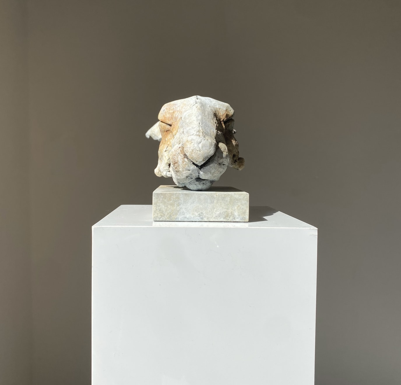 Nichola Theakston
